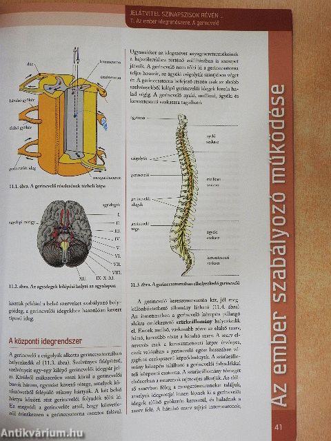 Biológia 12.