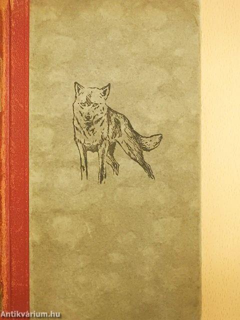Wolfsblut (gótbetűs)