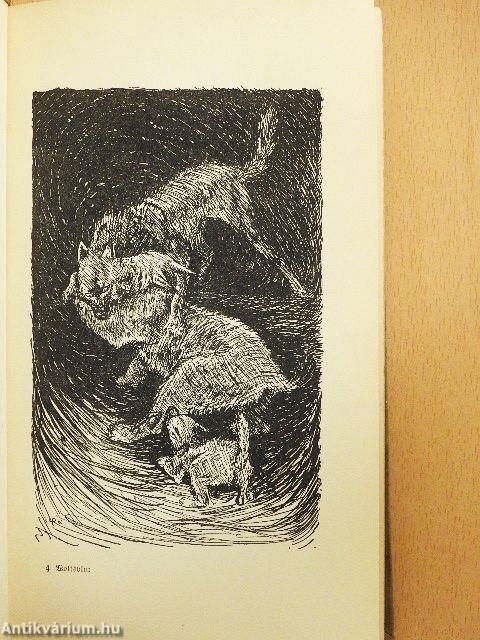 Wolfsblut (gótbetűs)