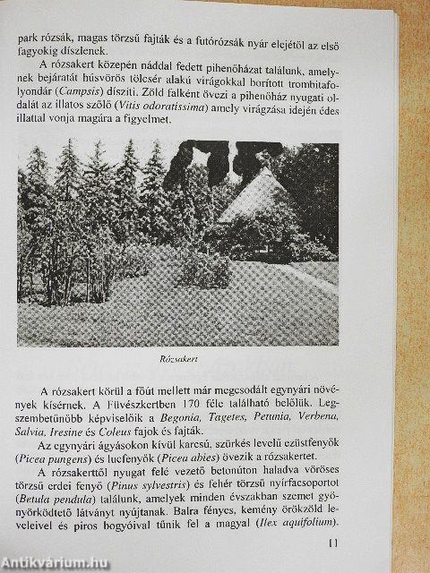 Kertismertető