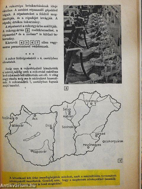 Élővilág 6