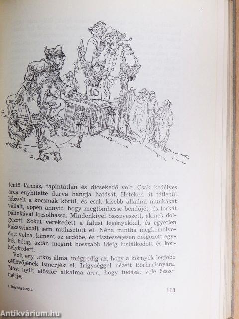 Bőrharisnya