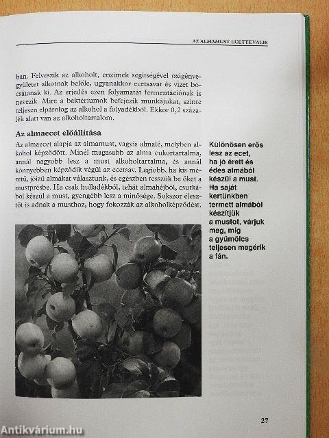 Természetes gyógymódok almaecettel