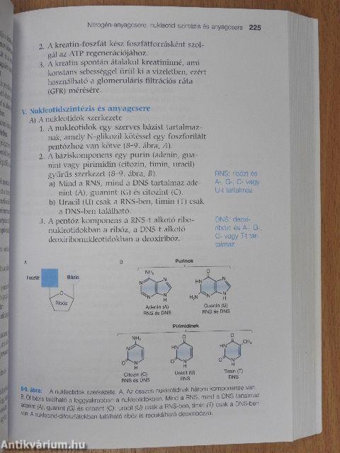 Biokémia
