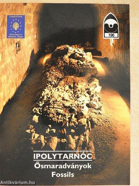 Ipolytarnóc - Ősmaradványok