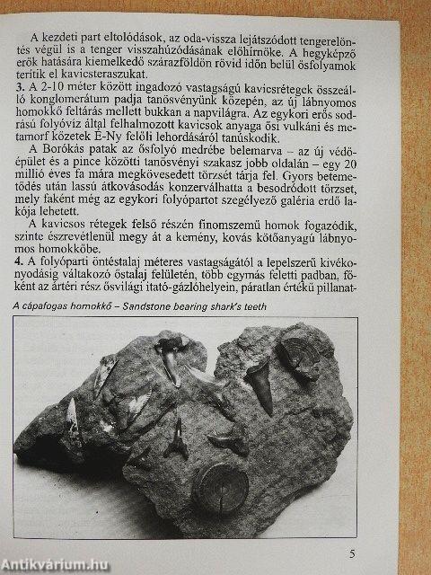 Ipolytarnóc - Ősmaradványok