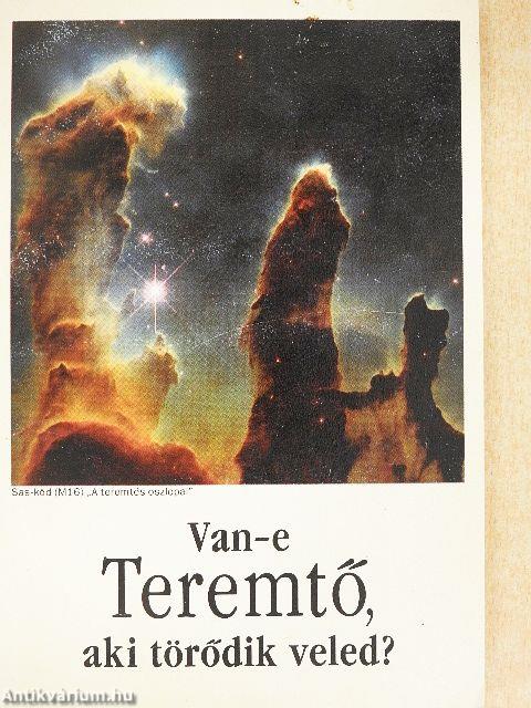 Van-e Teremtő, aki törődik veled?