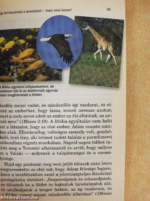 Van-e Teremtő, aki törődik veled?