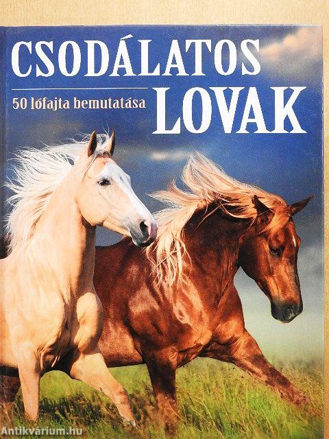 Csodálatos lovak