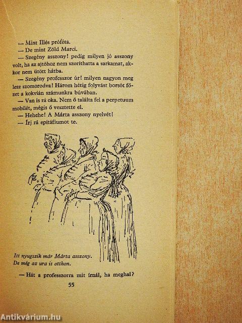 A debreceni lunátikus