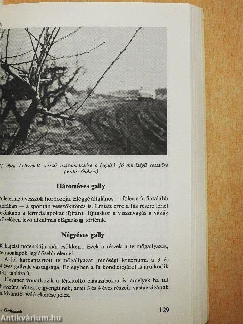 Őszibarack