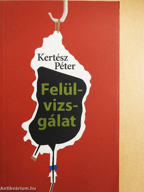 Felülvizsgálat