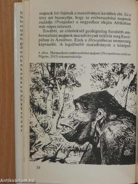 Az ősember és elődei