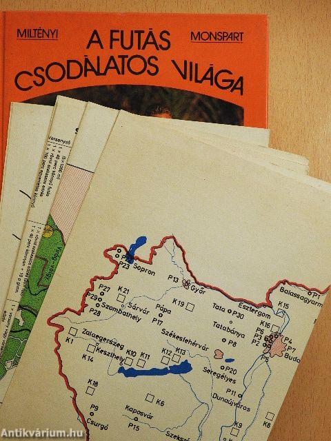 A futás csodálatos világa