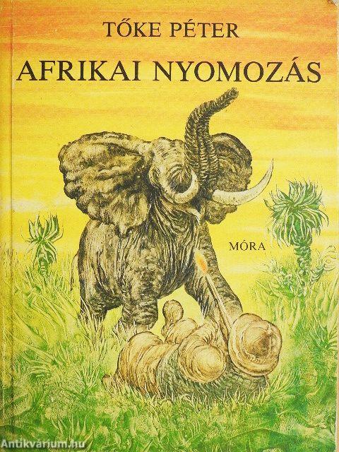 Afrikai nyomozás