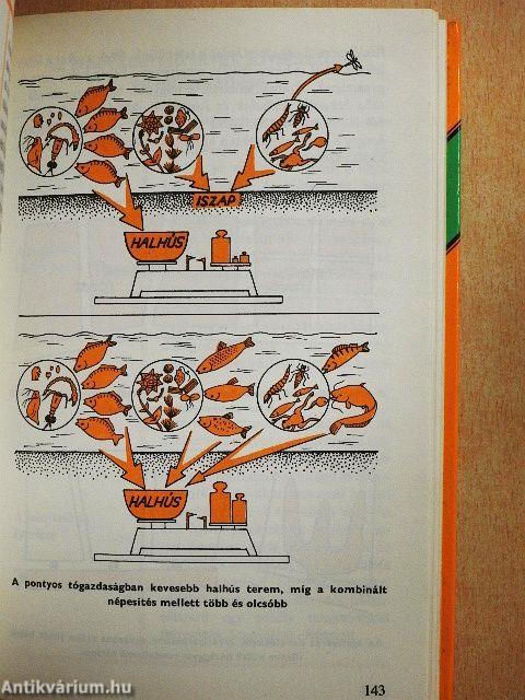 Ivadéknevelés