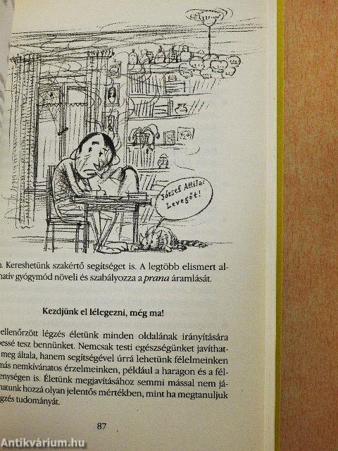 Csak semmi pánik!