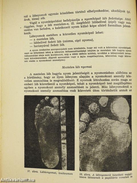 Kriminalisztika