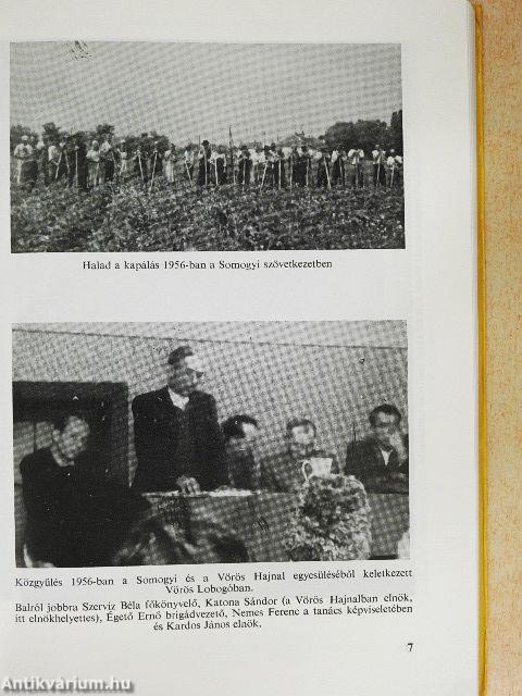 Vásárhelynek szélös határában