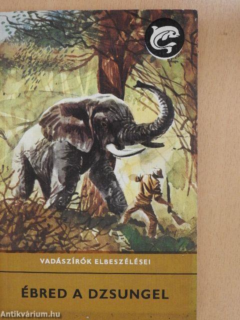 Ébred a dzsungel
