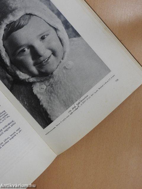 Fotoiskola