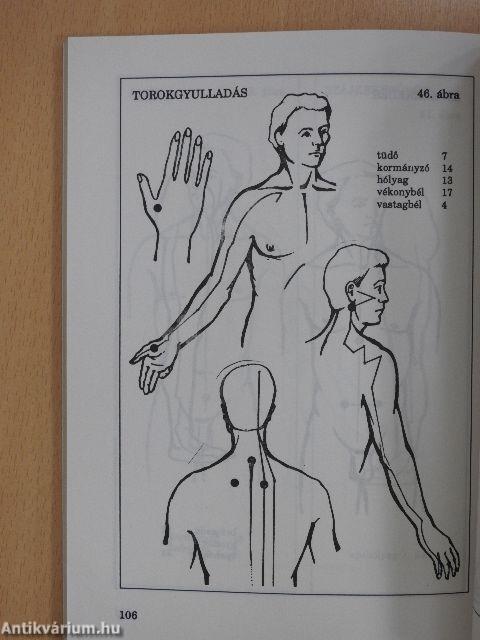 Gyógyító moxa
