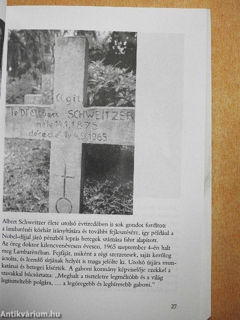 Az élet tisztelete