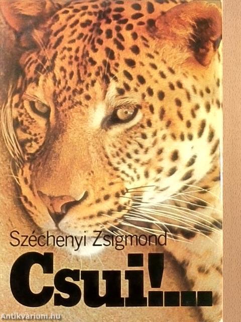 Csui!...