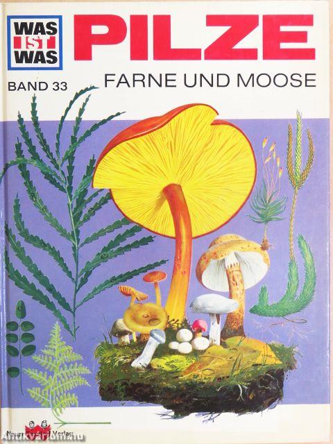 Pilze - Farne und Moose