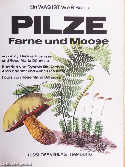 Pilze - Farne und Moose
