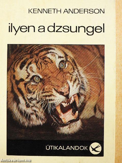 Ilyen a dzsungel
