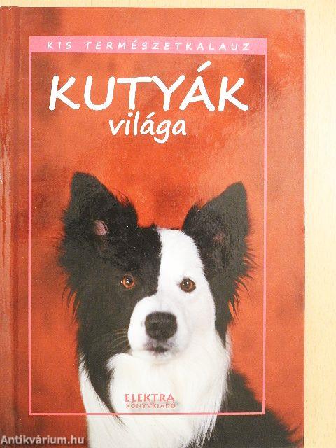 Kutyák világa