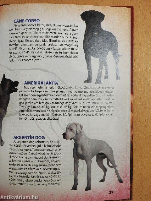 Kutyák világa