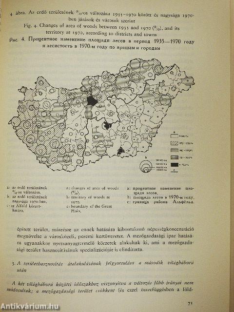 Alföldi tanulmányok 1980