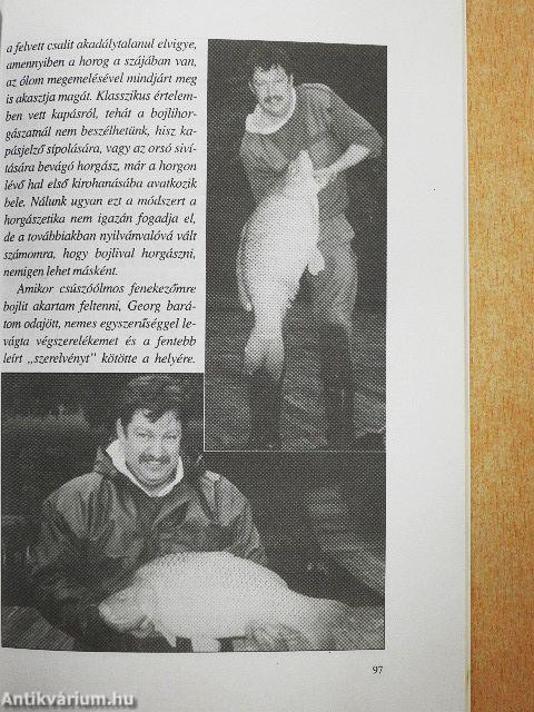 A ponty horgászata