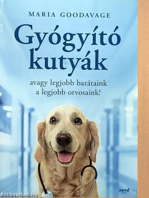 Gyógyító kutyák