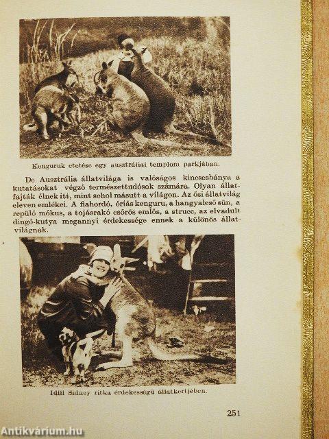 A bozót regénye