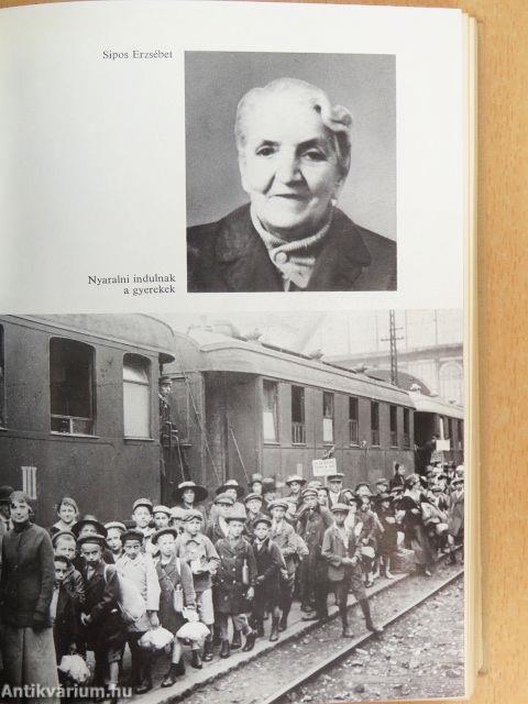 Tanúságtevők 3. B.
