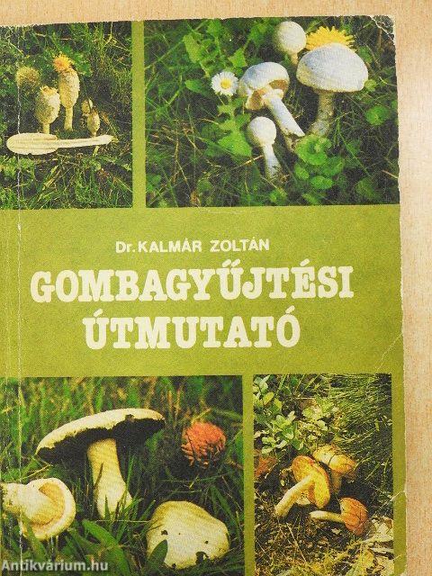 Gombagyűjtési útmutató