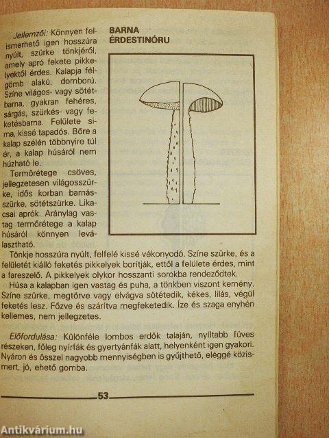 Gombagyűjtési útmutató