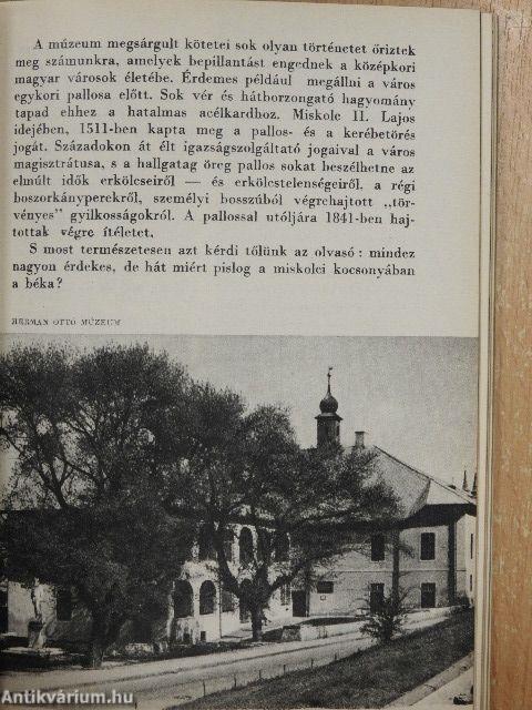 Budapest-Miskolc-Aggtelek