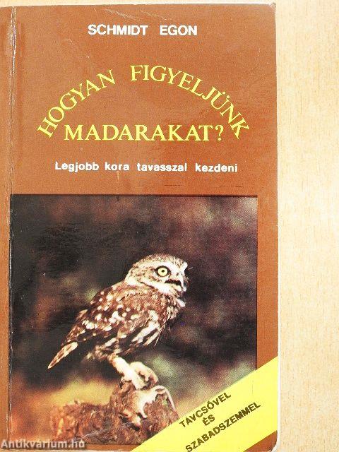 Hogyan figyeljünk madarakat?
