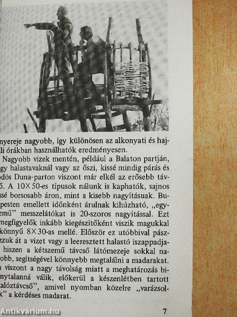Hogyan figyeljünk madarakat?