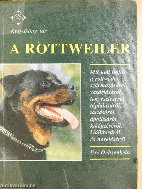 A rottweiler