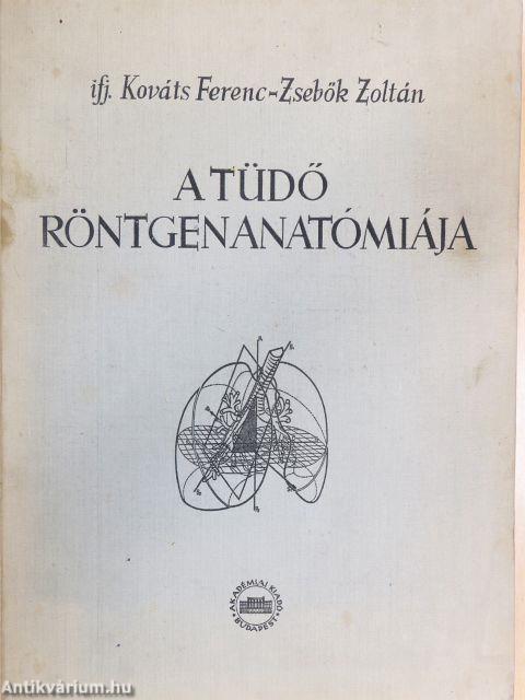 A tüdő röntgenanatómiája
