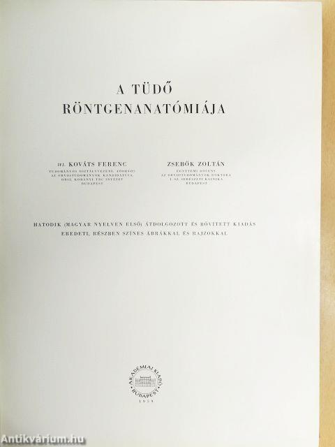 A tüdő röntgenanatómiája