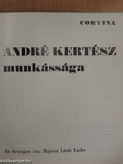 André Kertész munkássága