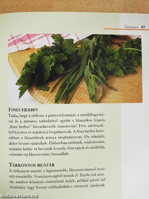 Kis fűszerlexikon