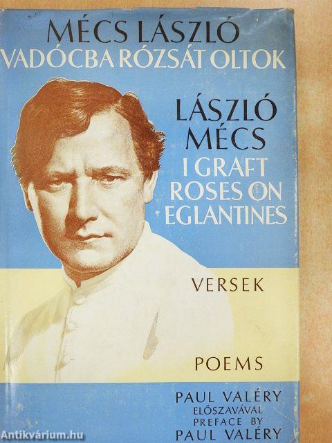 Vadócba rózsát oltok