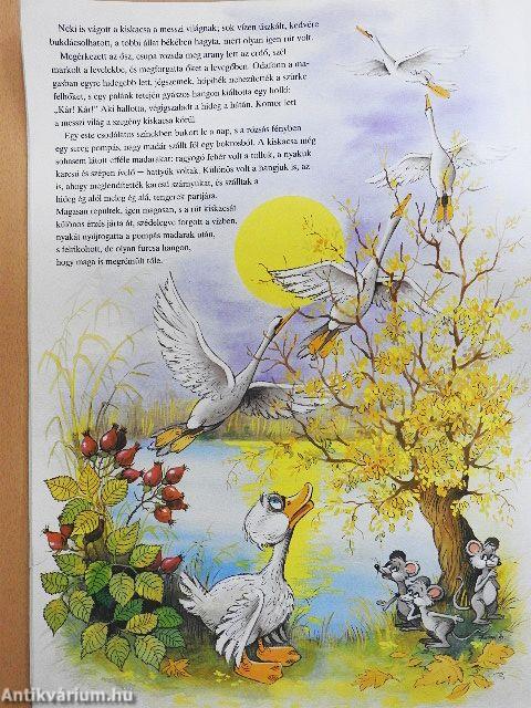 A rút kiskacsa